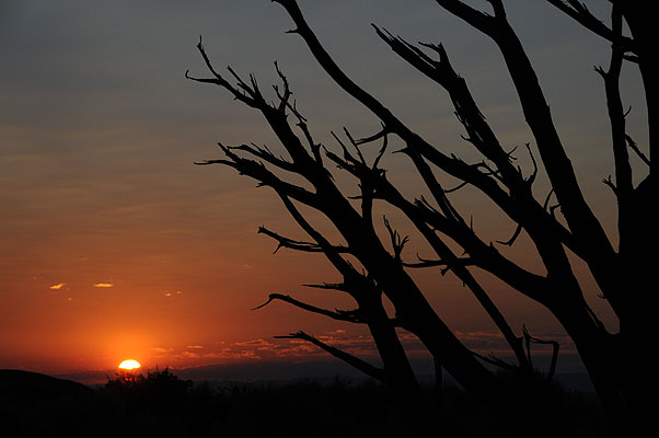 DSC_1727.jpg (4288x2848) NIKON D300 - 18-200mm f/3.5-5.6 // F9 // 1/320 sec // ISO 400 // 82,0 mm // no Flash // 2008:07:10 06:08:50 DSC_1727.jpg (4288x2848) NIKON D300 - 18-200mm f/3.5-5.6 // F9 // 1/320 sec // ISO 400 // 82,0 mm // no Flash // 2008:07:10 06:08:50